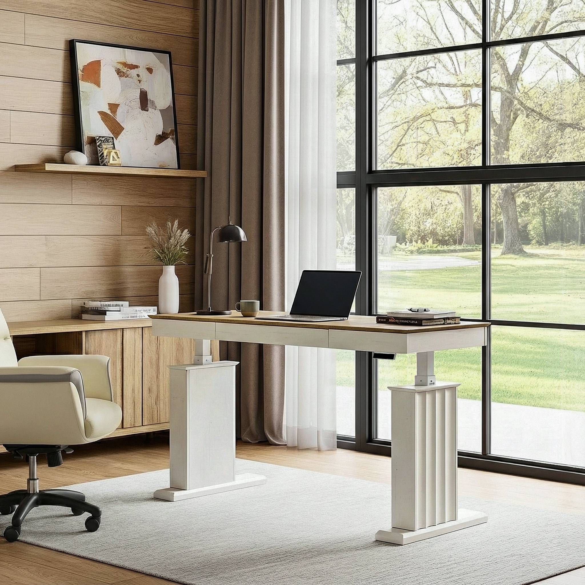 Electric Standing Desk with Drawer and Shelf, Black