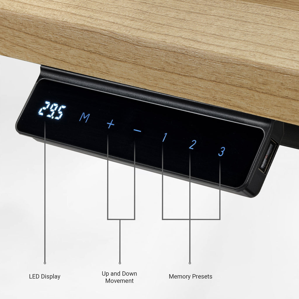Electric Standing Desk with Wireless Charging and USB Hub, White
