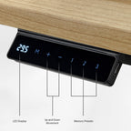 Electric Standing Desk with Wireless Charging and USB Hub, White