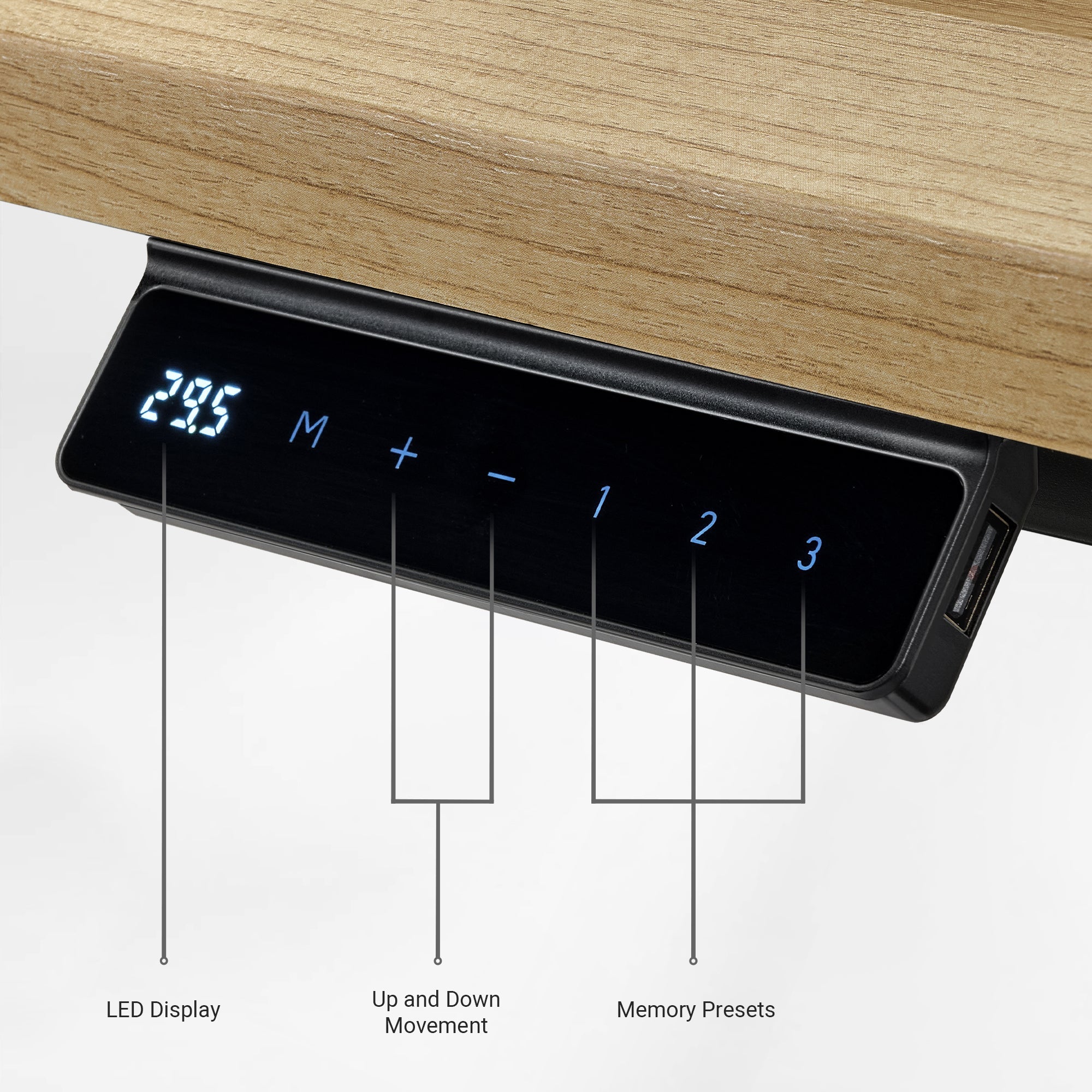 Electric Standing Desk with Wireless Charging and USB Hub, White