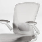 Ergonomic Office Chair - Mesh Back Lumbar Support, Budget-Friendly