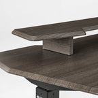 Standing Desk (55x27)