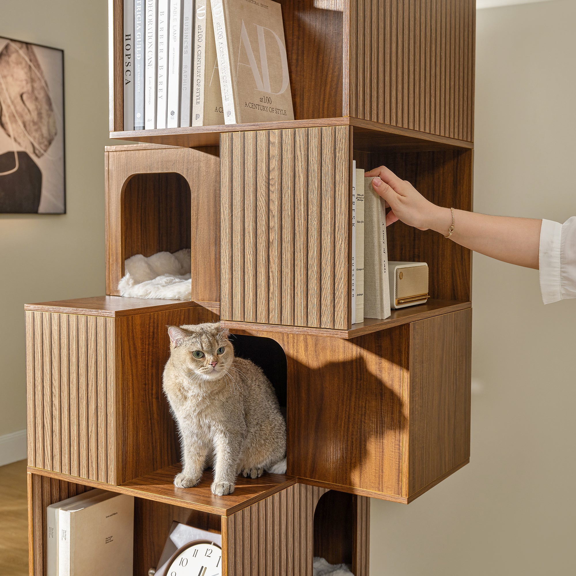 72'' Owner and Pet Shared Bookshelf Cat Tree