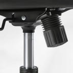 Ergonomic Office Chair - Mesh Back Lumbar Support, Budget-Friendly