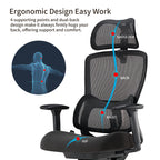 Ergonomic Office Chair - 3D Adaptive Lumbar Support Adjustable