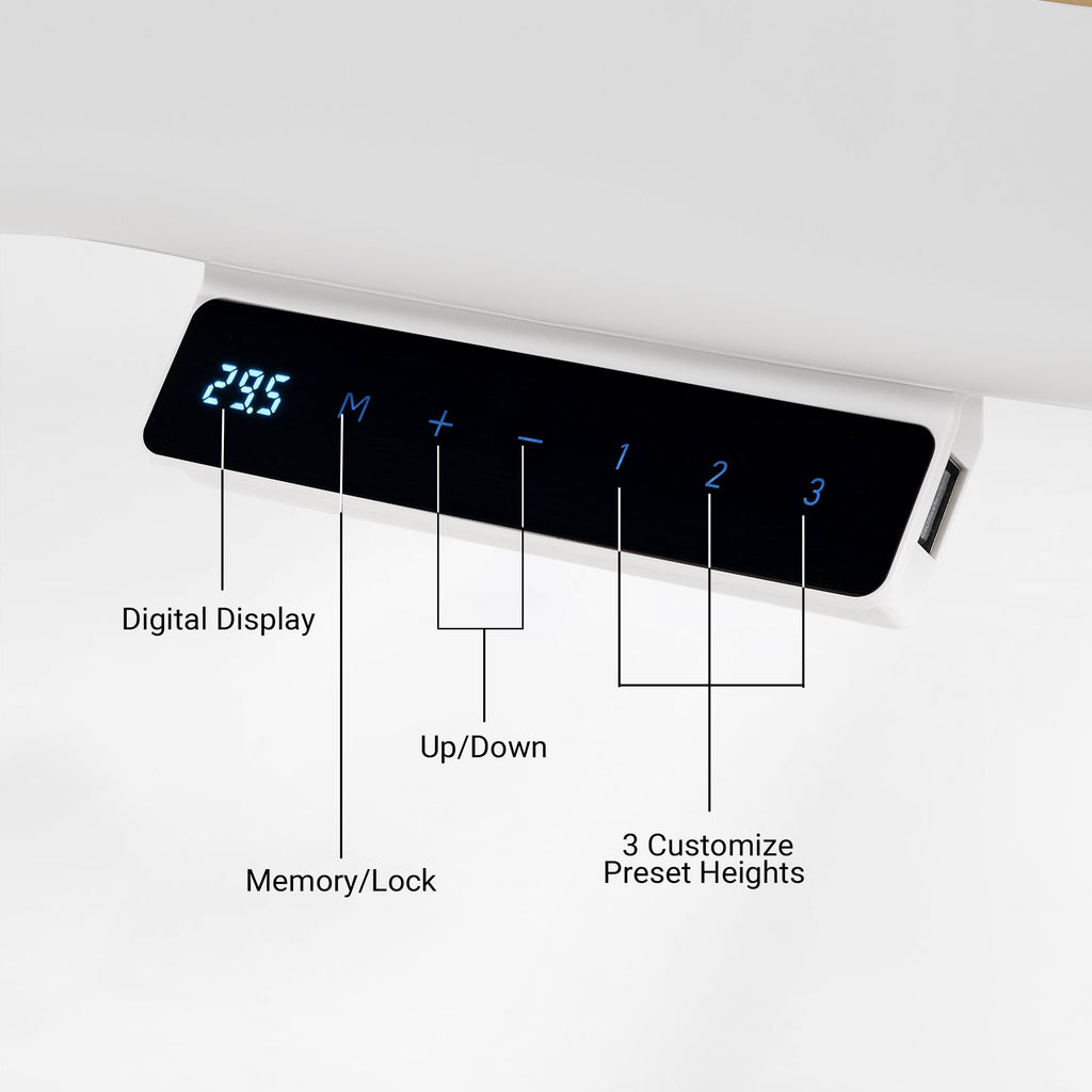 Electric Standing Desk with RGB Lighting (55x34)