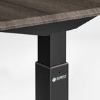 Standing Desk (55x27)