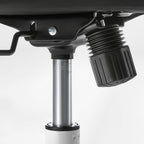 Ergonomic Office Chair - Mesh Back Lumbar Support, Budget-Friendly