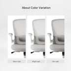 Ergonomic Office Chair - Mesh Back Lumbar Support, Budget-Friendly