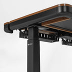 Electric Standing Desk with RGB Lighting (55x34)