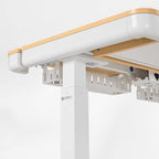 Electric Standing Desk with RGB Lighting (55x34)