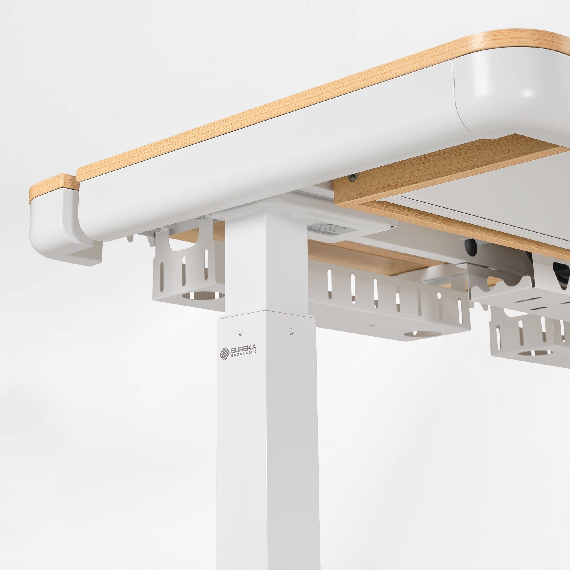 Electric Standing Desk with RGB Lighting (55x34)