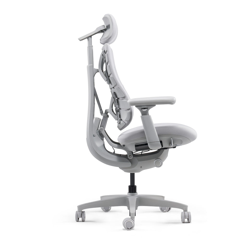 Dynamic Ergonomic Office Chair with Chip-Controlled Adaptive Backrest