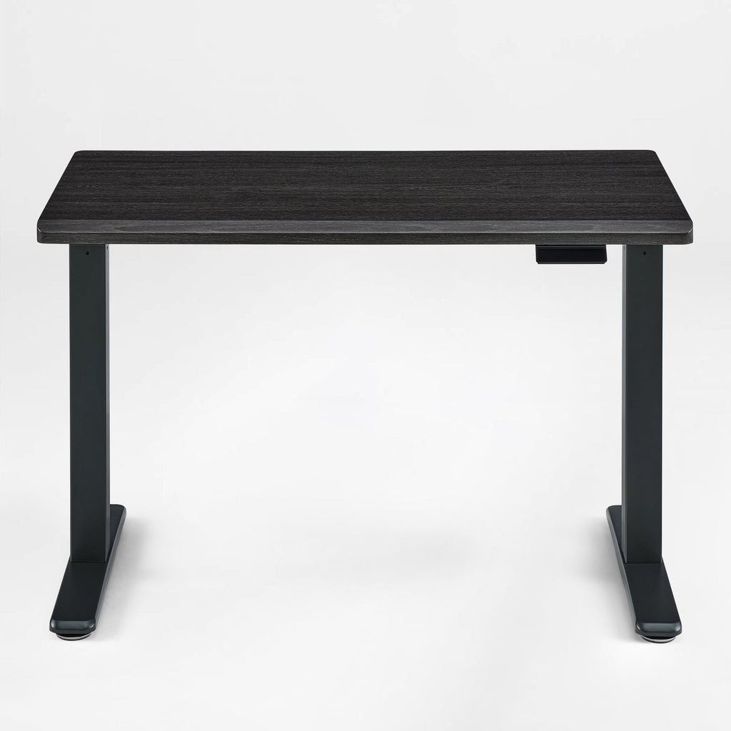 Electric Standing Desk with Wireless Charging and USB Hub, White