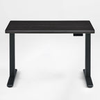 Electric Standing Desk with Wireless Charging and USB Hub, White