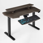 Standing Desk (55x27)