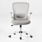 Ergonomic Office Chair - Mesh Back Lumbar Support, Budget-Friendly