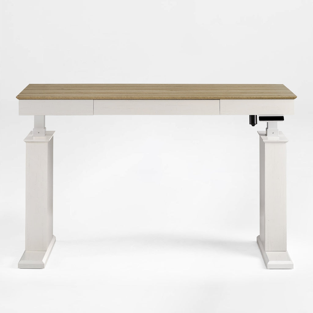 Electric Standing Desk with Drawer and Shelf, Black