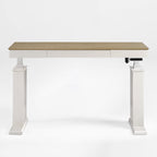Electric Standing Desk with Drawer and Shelf, Black