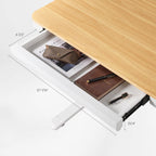 Electric Standing Desk with RGB Lighting (55x34)