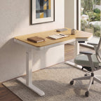 Electric Standing Desk with RGB Lighting (55x34)