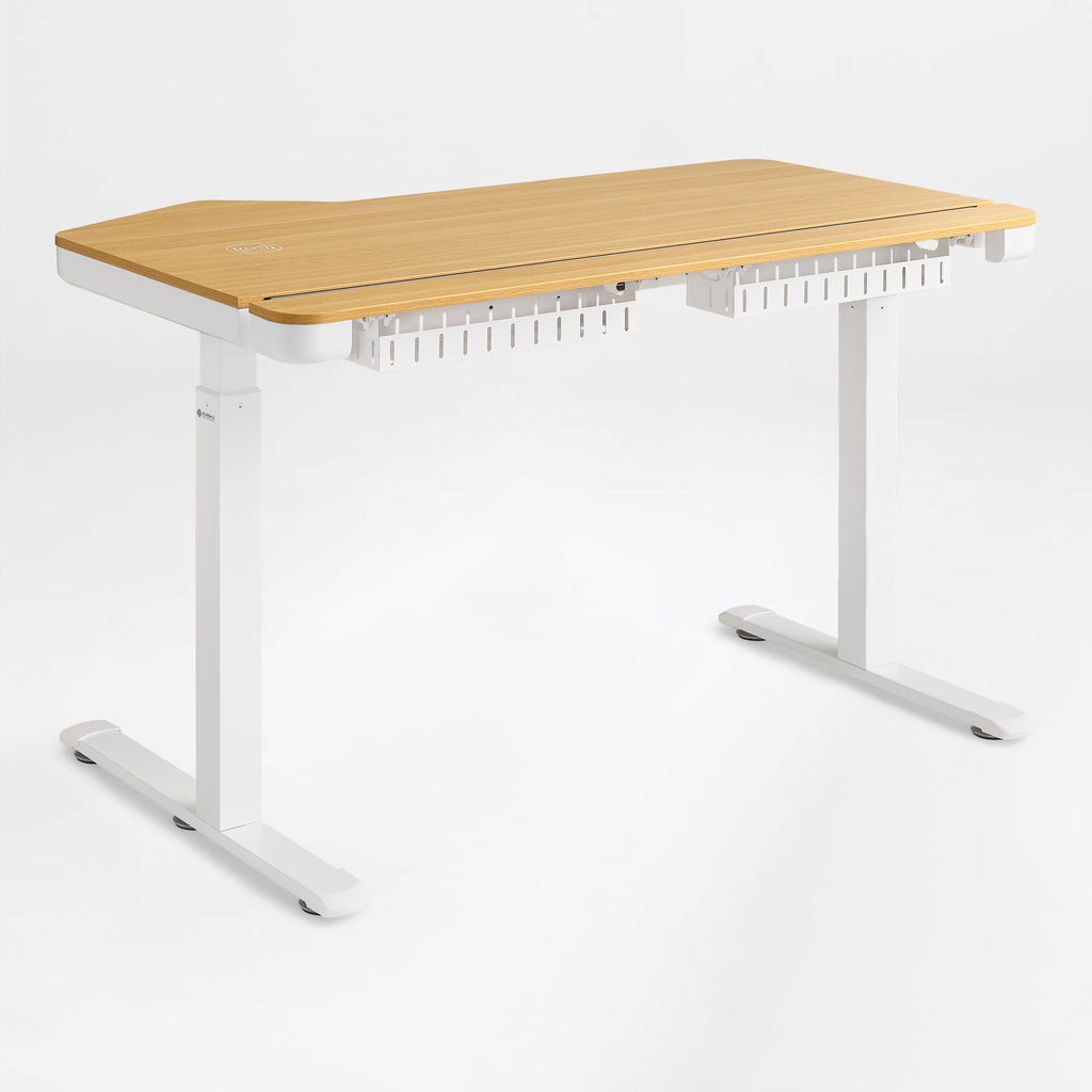 Electric Standing Desk with RGB Lighting (55x34)