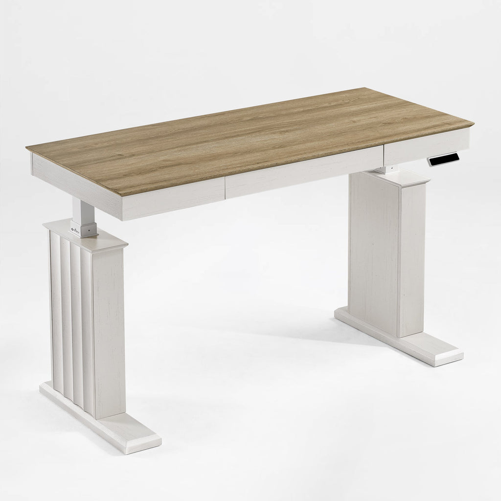 Electric Standing Desk with Drawer and Shelf, Black