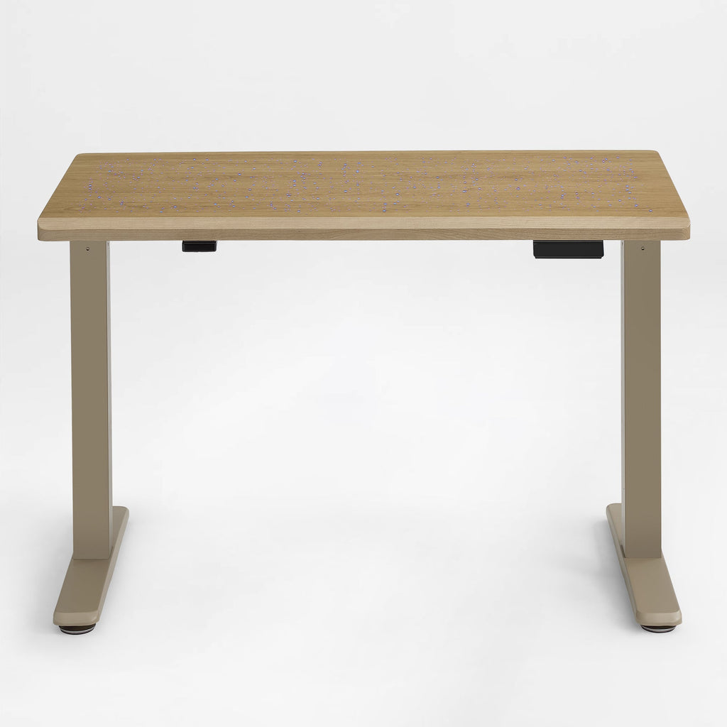 Electric Standing Desk with Wireless Charging and USB Hub, White