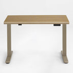 Electric Standing Desk with Wireless Charging and USB Hub, White