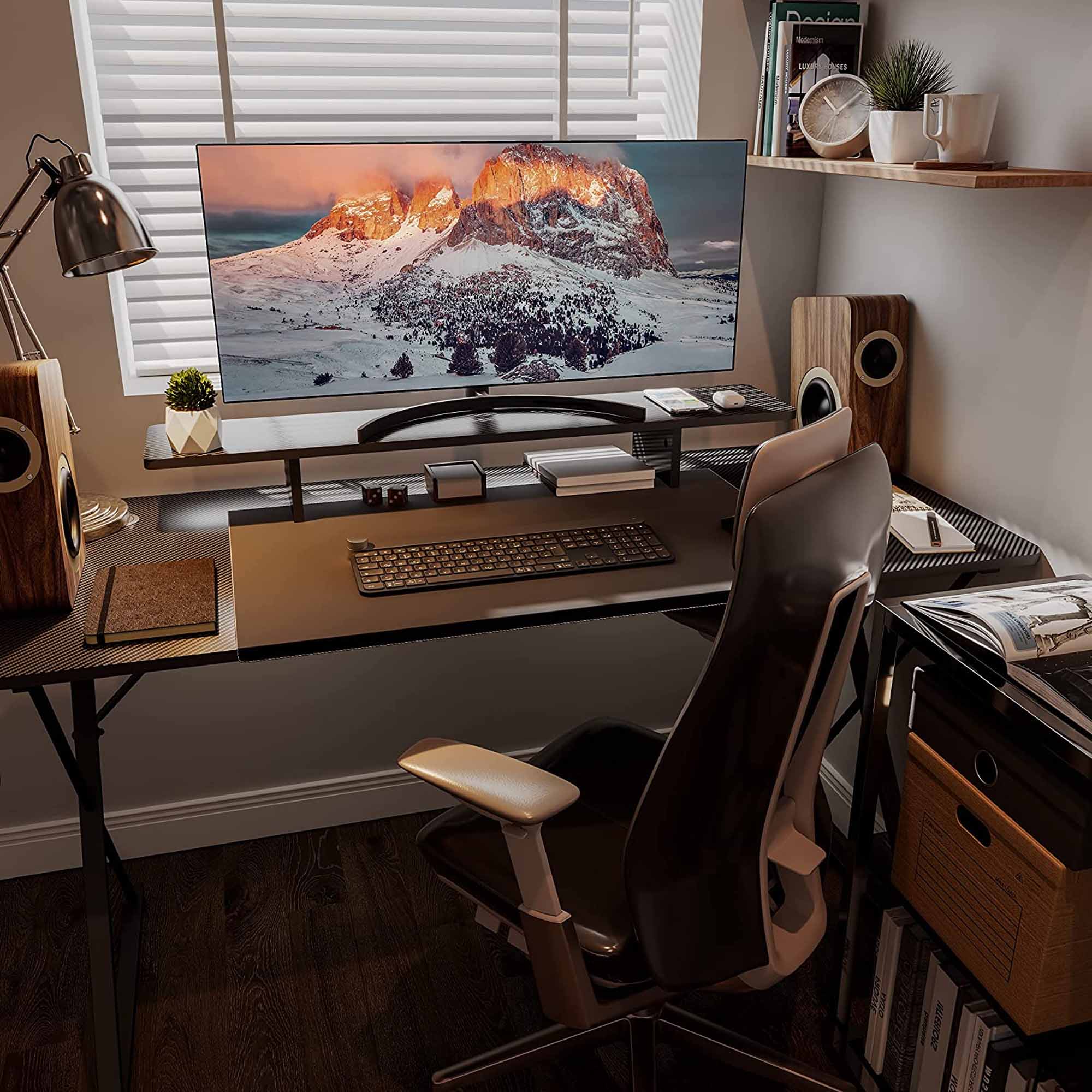Carbon Fiber Dual Monitor Stand