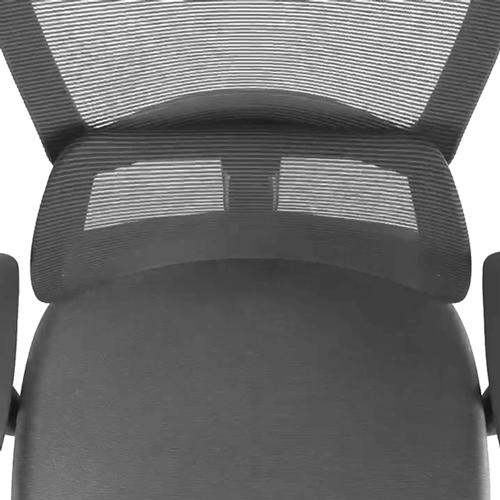 Ergonomic Office Chair - 3D Adaptive Lumbar Support Adjustable