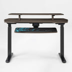 Standing Desk (55x27)