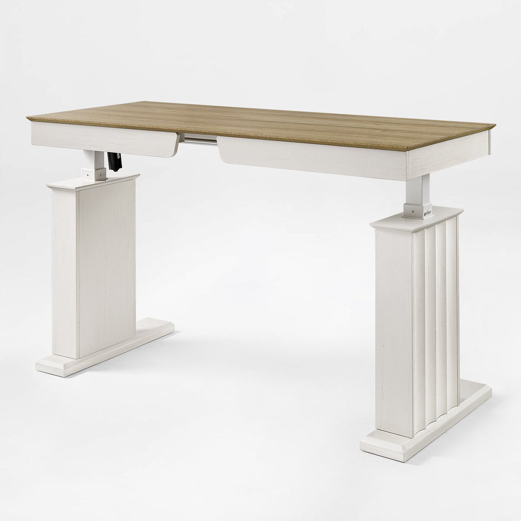 Electric Standing Desk with Drawer and Shelf, Black