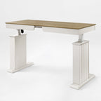 Electric Standing Desk with Drawer and Shelf, Black