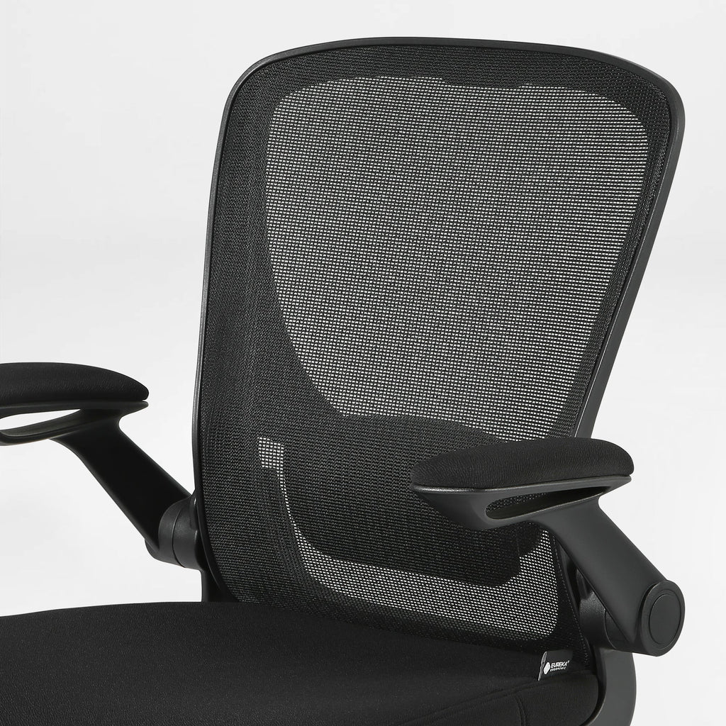 Ergonomic Office Chair - Mesh Back Lumbar Support, Budget-Friendly
