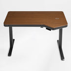Electric Standing Desk with RGB Lighting (55x34)