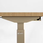 Electric Standing Desk with Wireless Charging and USB Hub, White