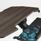 Standing Desk (55x27)