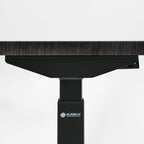Electric Standing Desk with Wireless Charging and USB Hub, White
