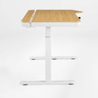 Electric Standing Desk with RGB Lighting (55x34)