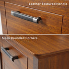 19'' 2-Drawer File Storage Cabinet, Dark Walnut