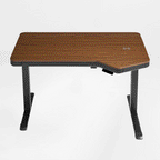 Electric Standing Desk with RGB Lighting (55x34)