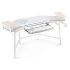 Wing-Shaped Studio Desk (73x23)