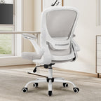 Ergonomic Office Chair - Mesh Back Lumbar Support, Budget-Friendly