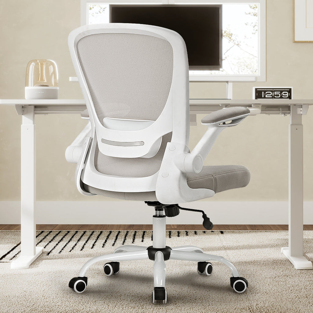 Chaise de bureau ergonomique - Dossier en maille avec support lombaire, économique