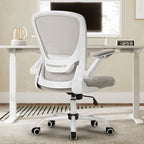Chaise de bureau ergonomique - Dossier en maille avec support lombaire, économique