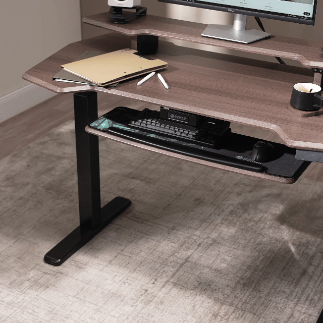 Standing Desk (55x27)