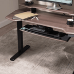 Standing Desk (55x27)