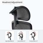 Ergonomic Office Chair - 3D Adaptive Lumbar Support Adjustable