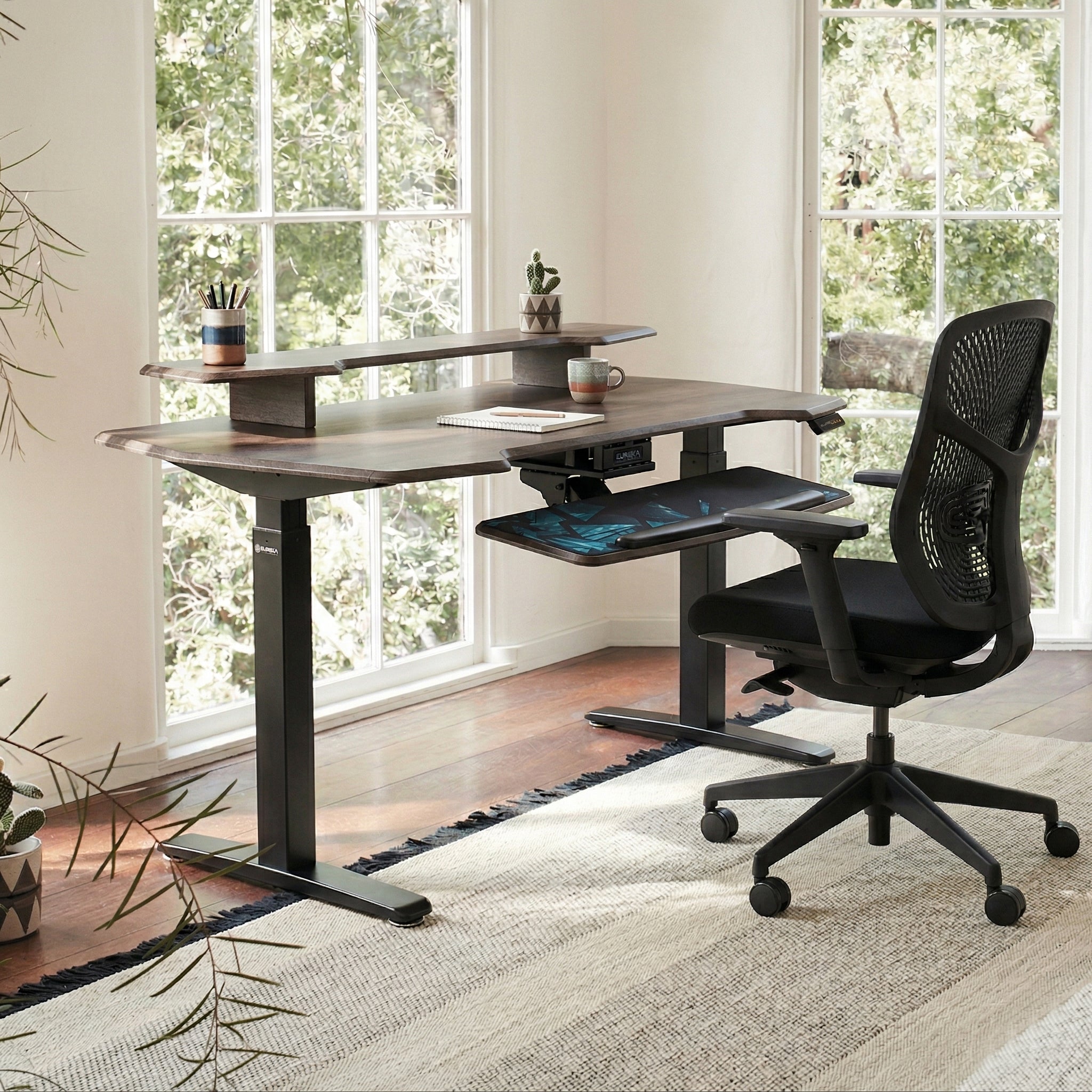 Standing Desk (55x27)